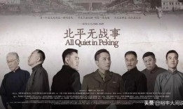 出品人爆料回不了款视频,回款难题背后的困境与挑战